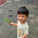 하은어린이집 이미지