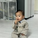 다미가든 | 돌잔치 : 파티연 돌상, 바른스냅, 익산 다미일식, 더도톰 답례품 수건, 꼬떼드미미 돌떡