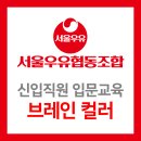 브레인컬러연구소 이미지