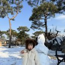 칠복농장 | 양평 딸기따기체험 농장 “물오른딸기” 체험 후기(feat.딸기인가요?킹스베리인가요?)