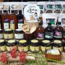 산들바다 이미지