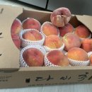 채이농장 이미지