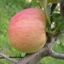 사랑방카페 이미지