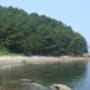 싸리섬 Daum백과