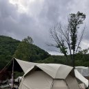 대이산숲속캠프 서울 근교 캠핑장 내돈내산 구린 사진 위주 후기