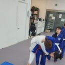 Dream of Judo 태평유도관 | 노은,반석유도관 유치초등부 운동/지족동/죽동/어은동/반석동/노은동/하기동/덕명동
