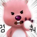 젤리스노우 이미지