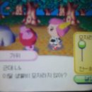 가위숲 이미지
