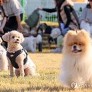 열린투어 연합뉴스