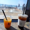 더몽상드 이미지