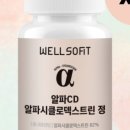 루틴웰