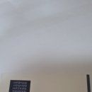 변월도