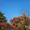 여의도공원 3번출입구 앞 | 국내 가을 단풍명소 사진 여의도 공원 한바퀴 산책 요즘 서울 가볼만한곳 추천