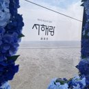선샤인 동물병원 | 2025 7~12월