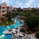 닥터리베라 이미지