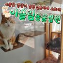 이끌림동물병원