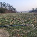 하부농장 이미지