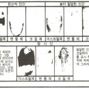 [E. 노먼 피어슨] 시공과 자아의식(4) 이미지