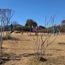 반지마을회관 이미지