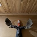 용담돌집민박 이미지