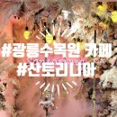 산토리니아