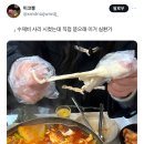 사리 이미지