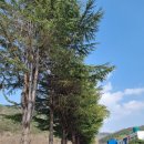 남평중학교다도분교장 이미지