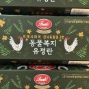 템파머 이미지