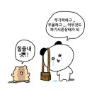 웰빈 이미지