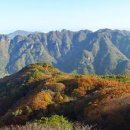 청량산농원