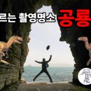 공룡주유소 Daum카페