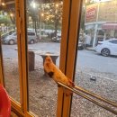 안정환의바글바글 이미지