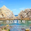 잔디밭민박 이미지