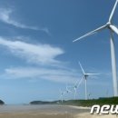 민영 태양광발전소 이미지