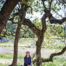 남계2리 이미지