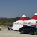 킹스베리 | 2026년 논산 딸기축제 주말 방문후기(주차장, 킹스베리, 먹거리)