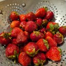 CN농장 | [EF 토론토 어학연수 후기] 28. CN tower