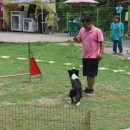 호서전문학교 이미지