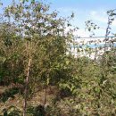 목원농장 이미지