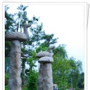 예다원찻집 이미지