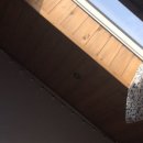 제주 알모 이미지