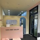 비비펫미용 이미지