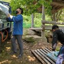 축령산농장 이미지