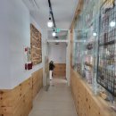 향내음 댕댕이 멀티샵 이미지