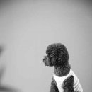 김광석사진관 이미지