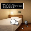당진아디다스 | 퇴사 근황💤