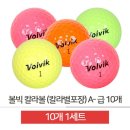 볼빅 - 서귀포시 중정로 96-1 | 볼빅