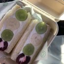 티오(TO) 세차장 | 2023년 9월이라니