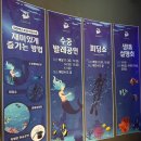 신세계성인오락실 | 대전신세계아쿠아랜드 나들이 후기✨ 인어공주 공연부터 아쿠아랜드 어항만들기 가격 정보까지!