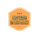 팔월 | 결혼 [본식 스냅] 팔월과십이월 계약 내돈내산 후기